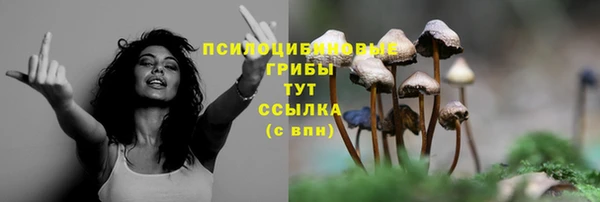 винт Переславль-Залесский