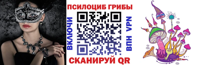 Псилоцибиновые грибы мухоморы  Пудож 