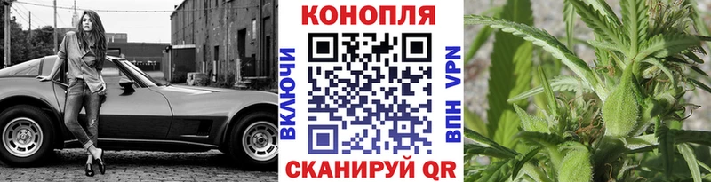 Шишки марихуана семена Пудож